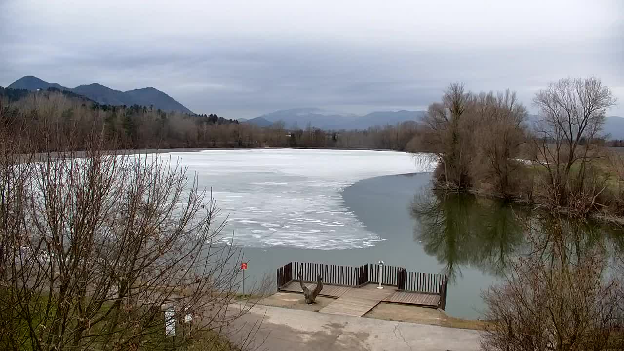 Webcam Ribnik Vrbje – Žalec