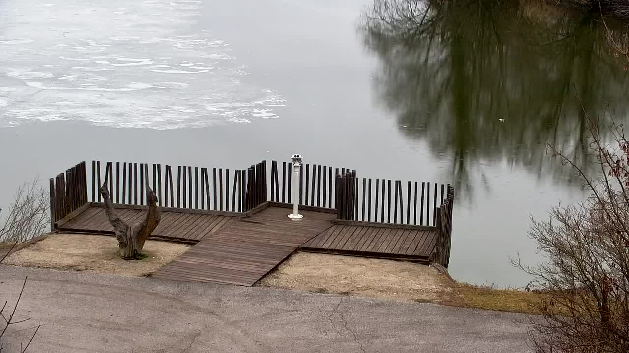 Webcam Ribnik Vrbje – Žalec