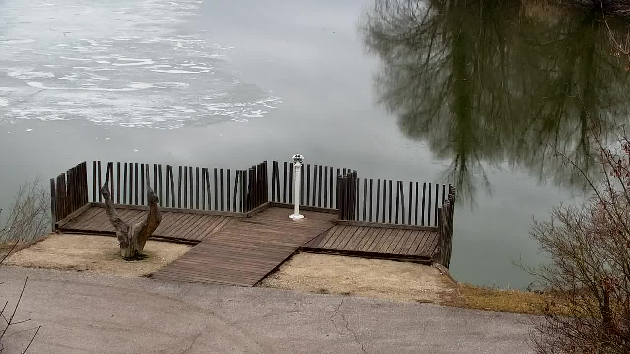 Webcam Ribnik Vrbje – Žalec