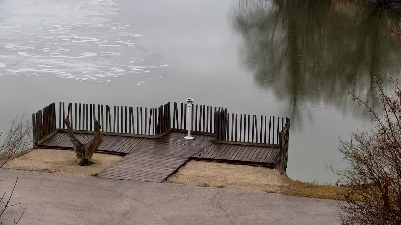 Webcam Ribnik Vrbje – Žalec