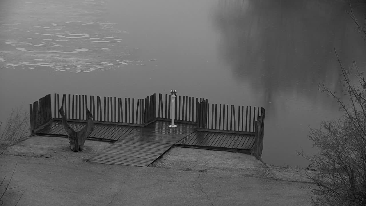 Webcam Ribnik Vrbje – Žalec