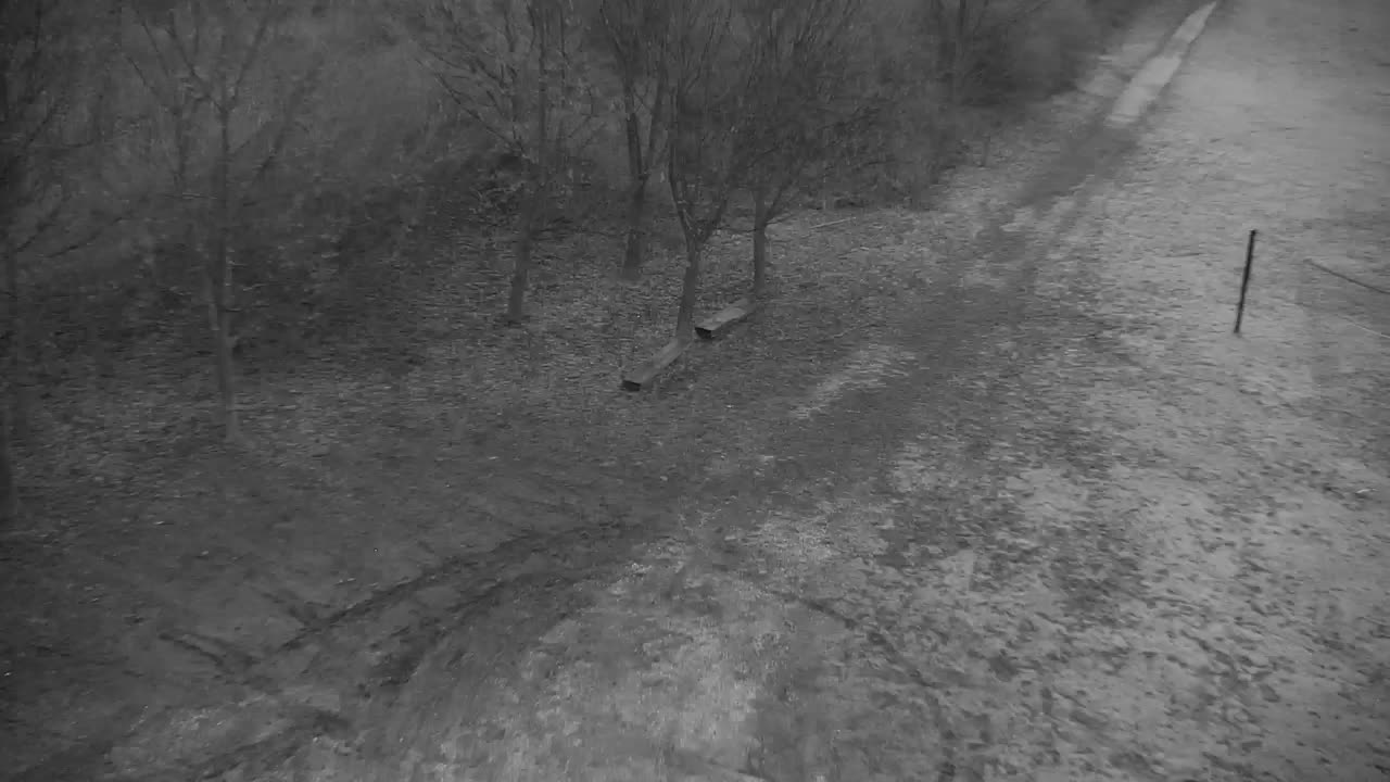 Webcam Ribnik Vrbje – Žalec