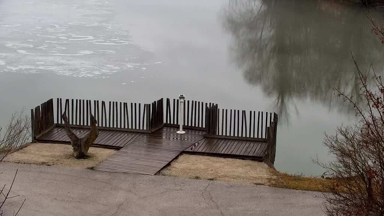 Spletna kamera Ribnik Vrbje – Žalec