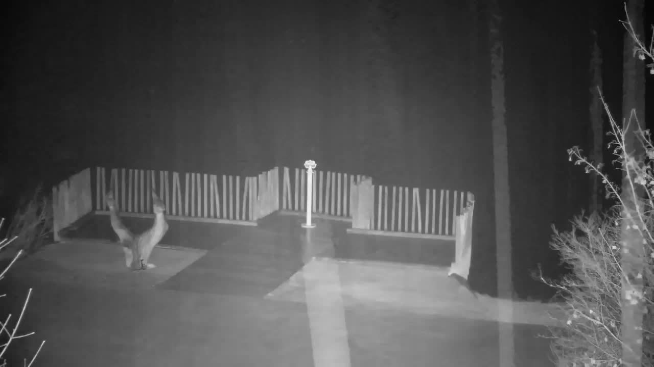 Webcam Ribnik Vrbje – Žalec