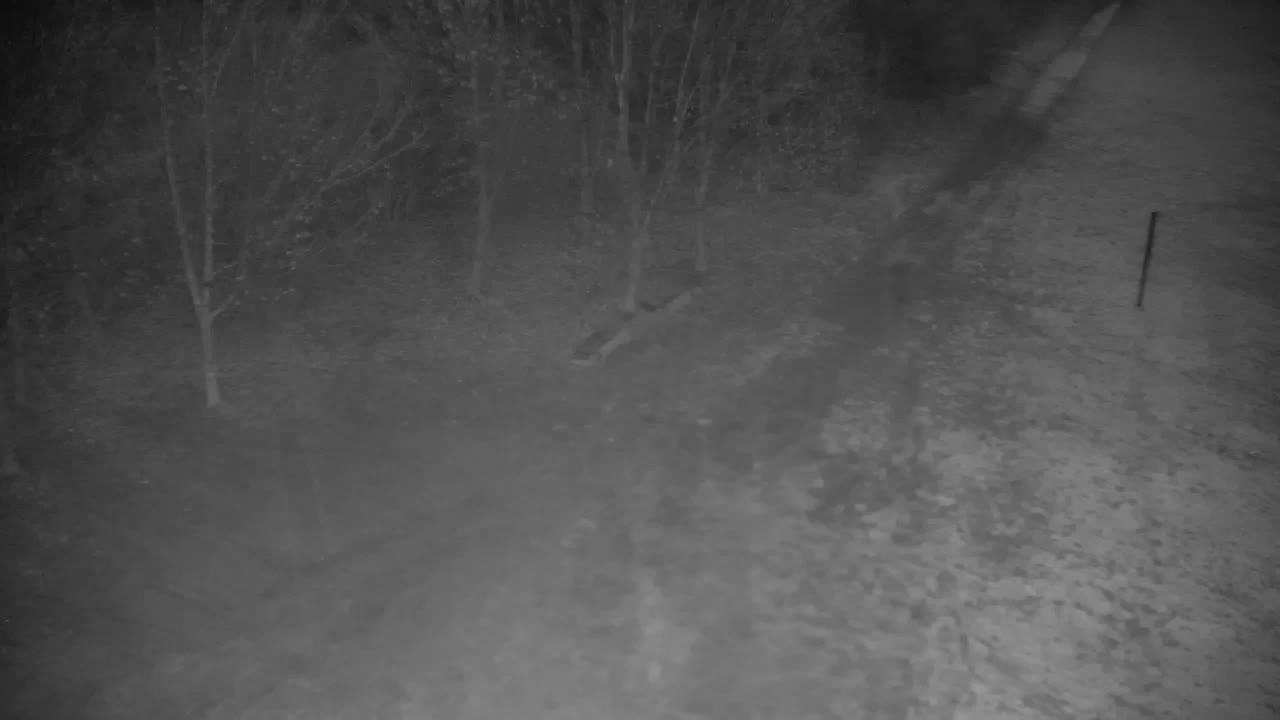 Webcam Ribnik Vrbje – Žalec