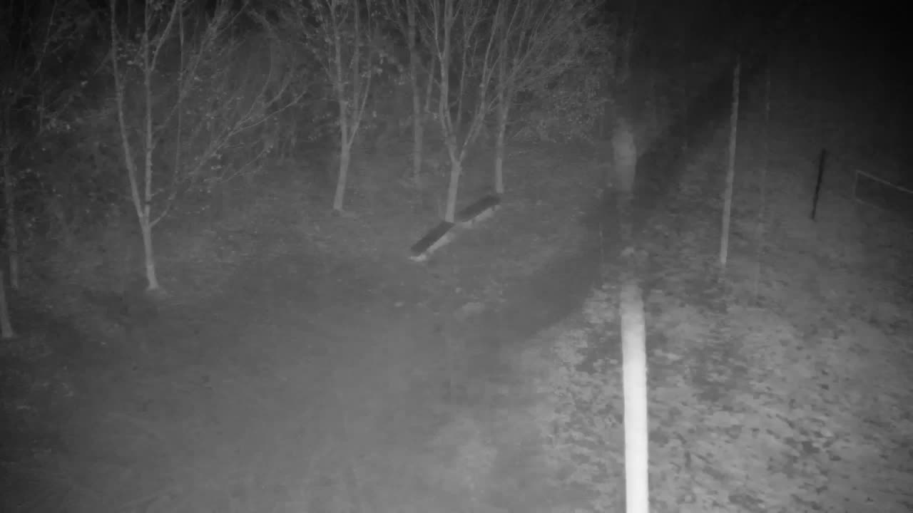 Spletna kamera Ribnik Vrbje – Žalec