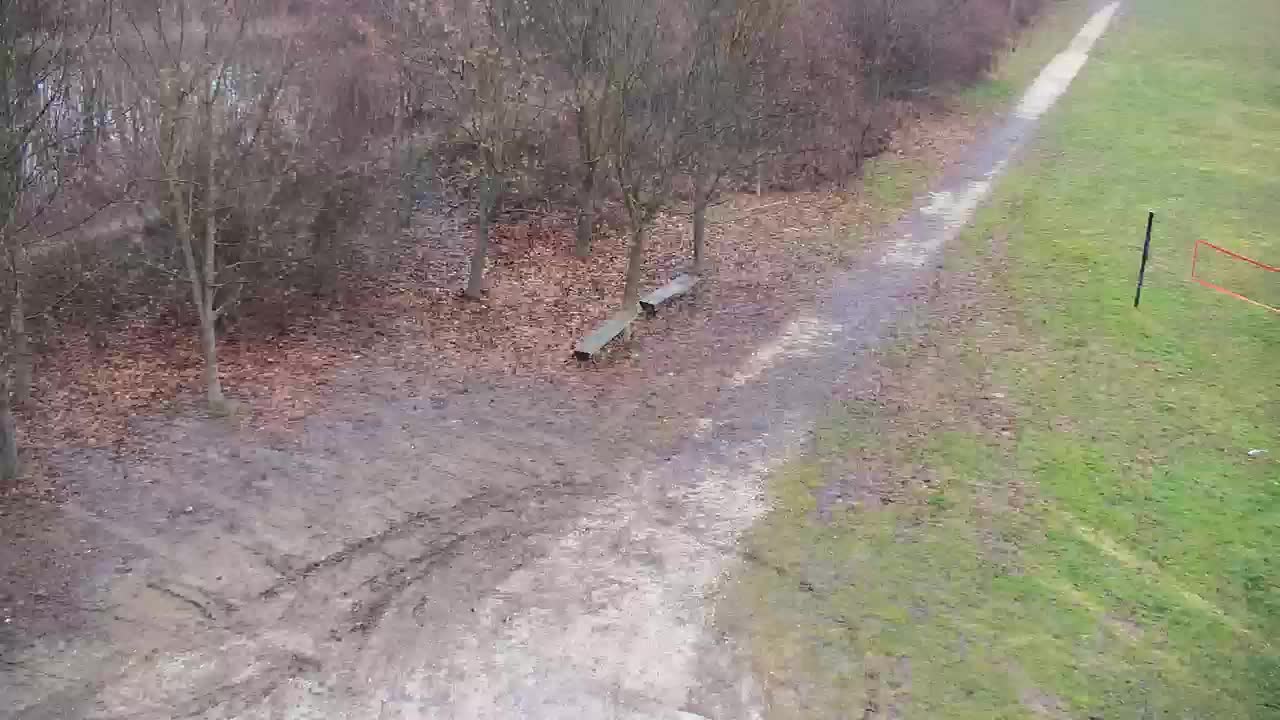 Webcam Ribnik Vrbje – Žalec