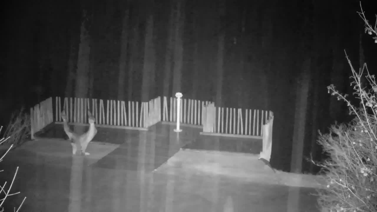 Webcam Ribnik Vrbje – Žalec