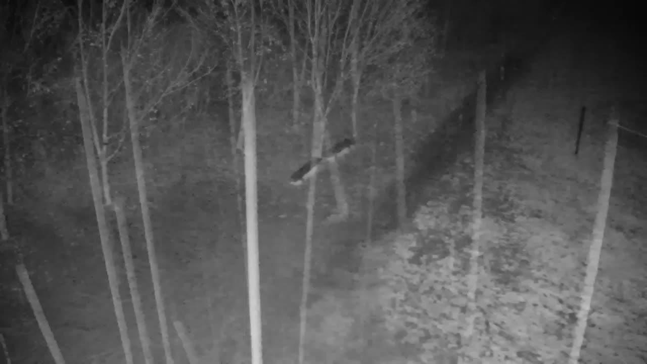 Webcam Ribnik Vrbje – Žalec