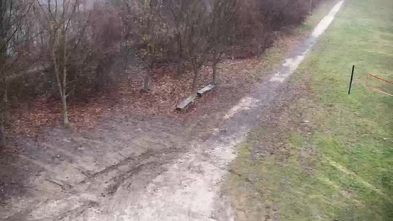 Webcam Ribnik Vrbje – Žalec