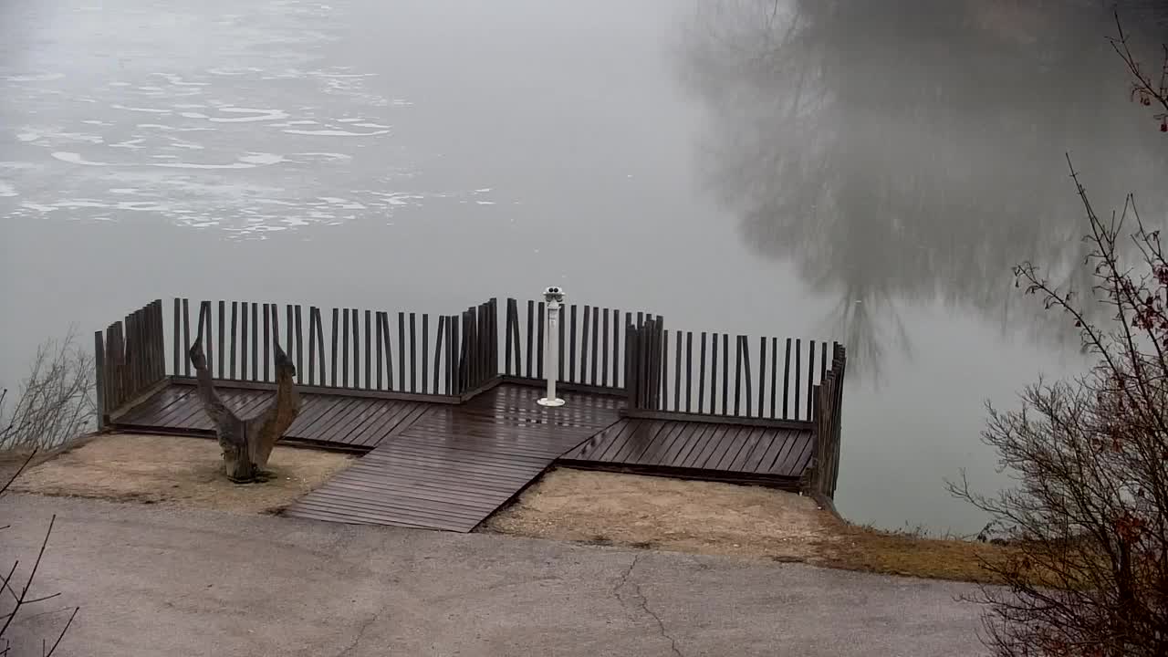 Webcam Ribnik Vrbje – Žalec