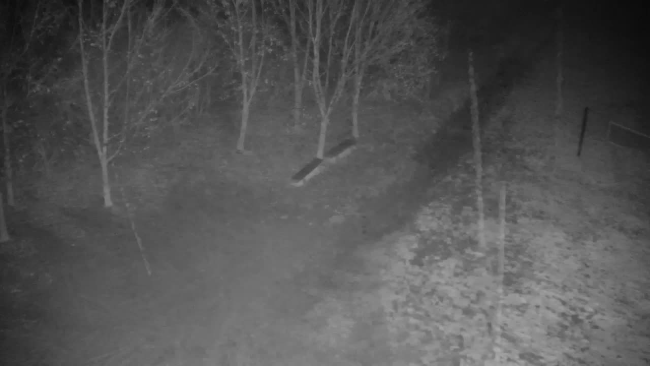 Webcam Ribnik Vrbje – Žalec