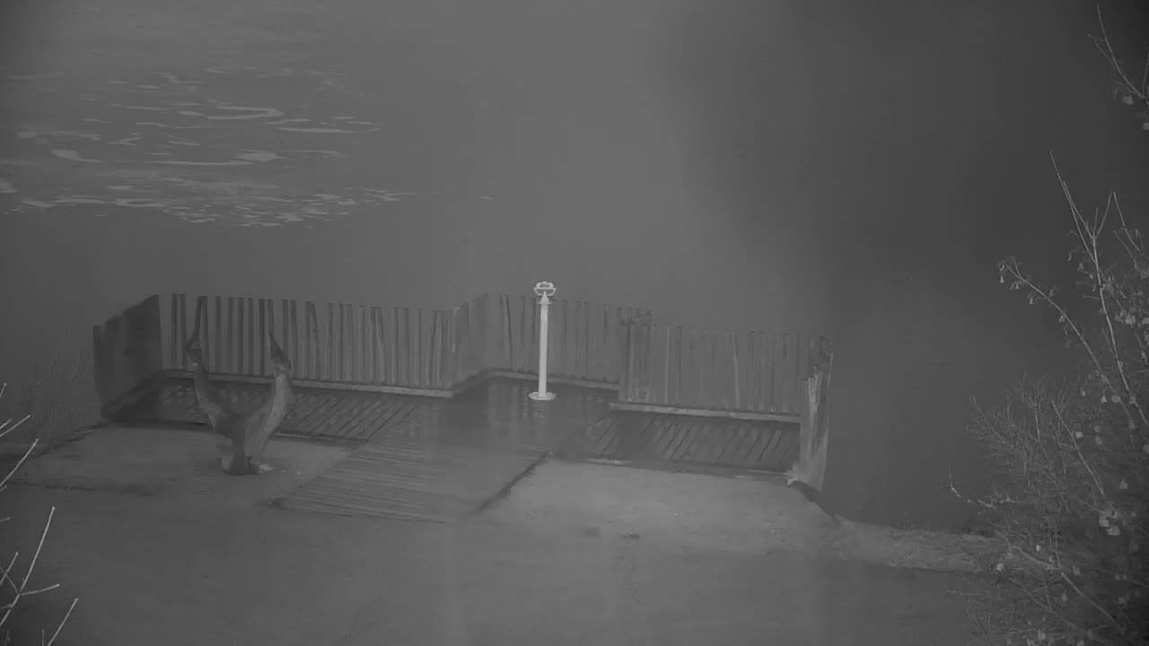 Webcam Ribnik Vrbje – Žalec