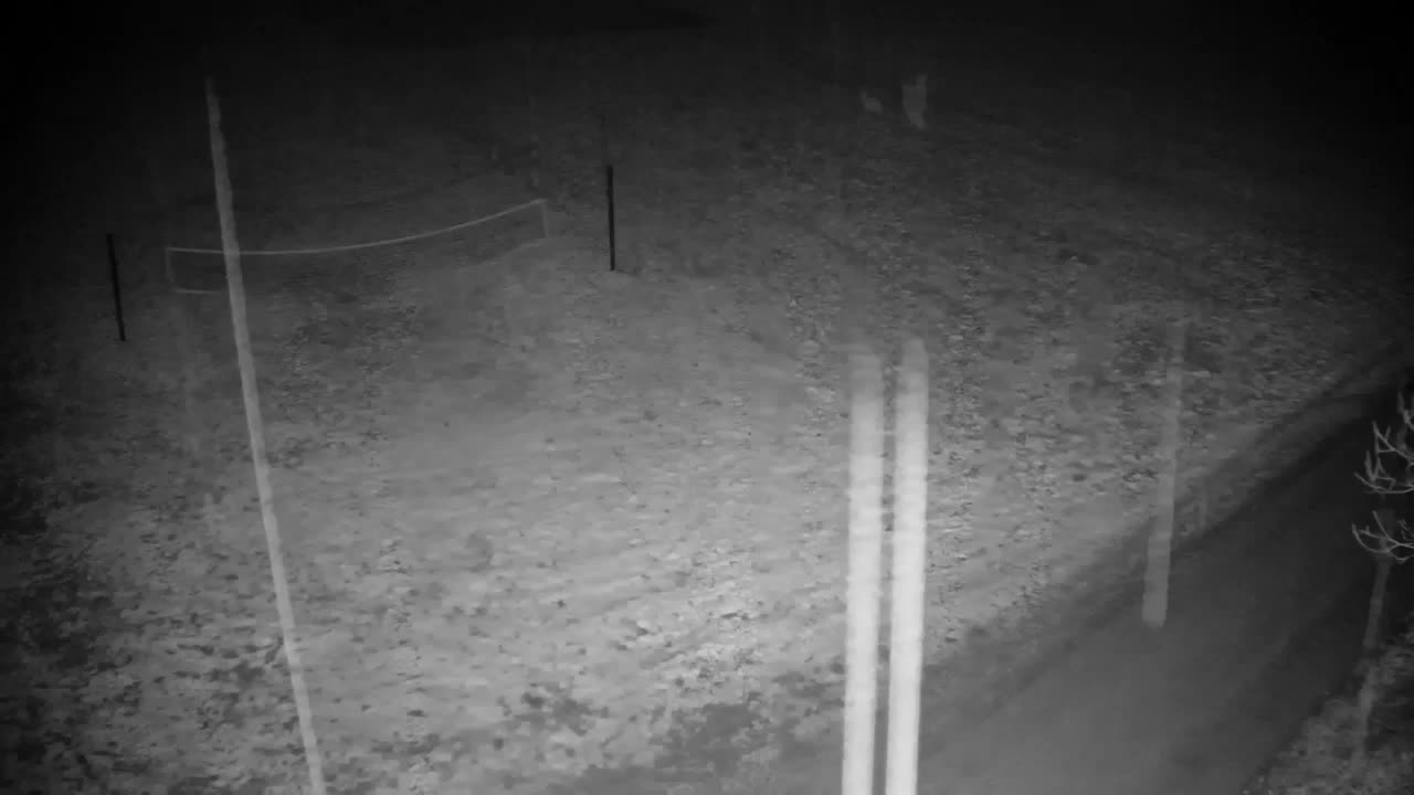 Webcam Ribnik Vrbje – Žalec