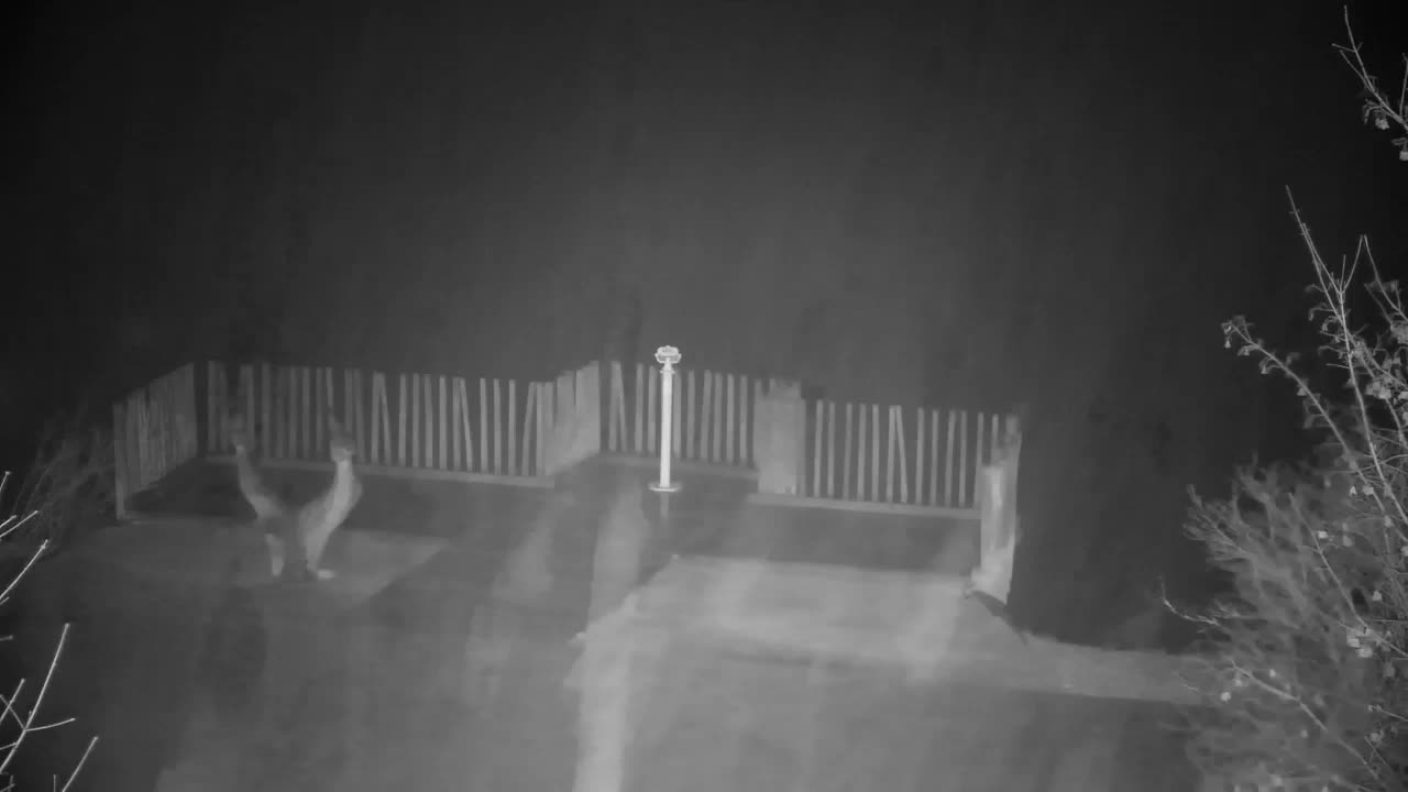 Webcam Ribnik Vrbje – Žalec