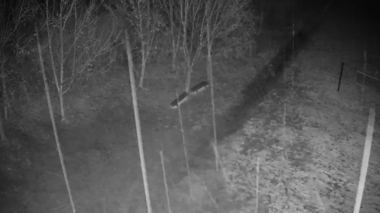 Webcam Ribnik Vrbje – Žalec