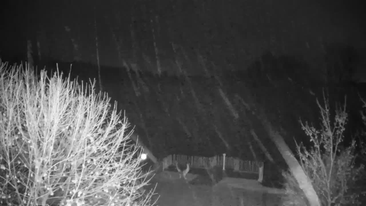 Webcam Ribnik Vrbje – Žalec