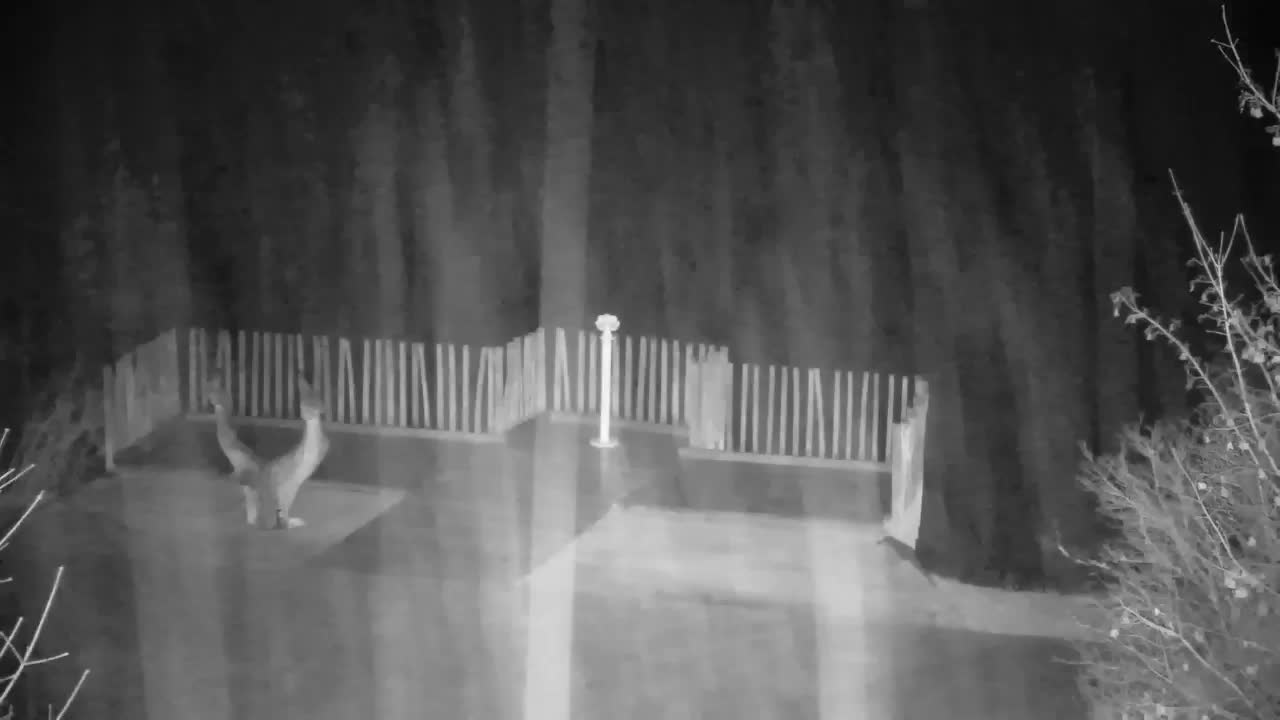 Webcam Ribnik Vrbje – Žalec