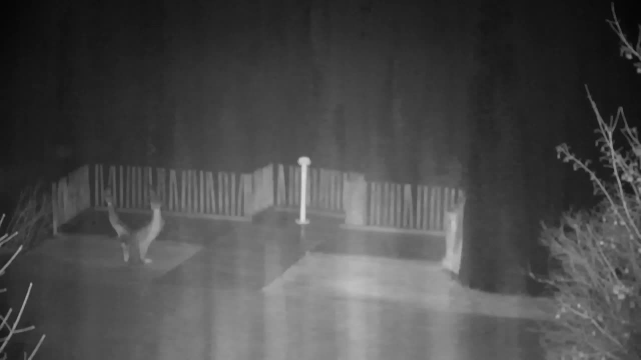 Webcam Ribnik Vrbje – Žalec