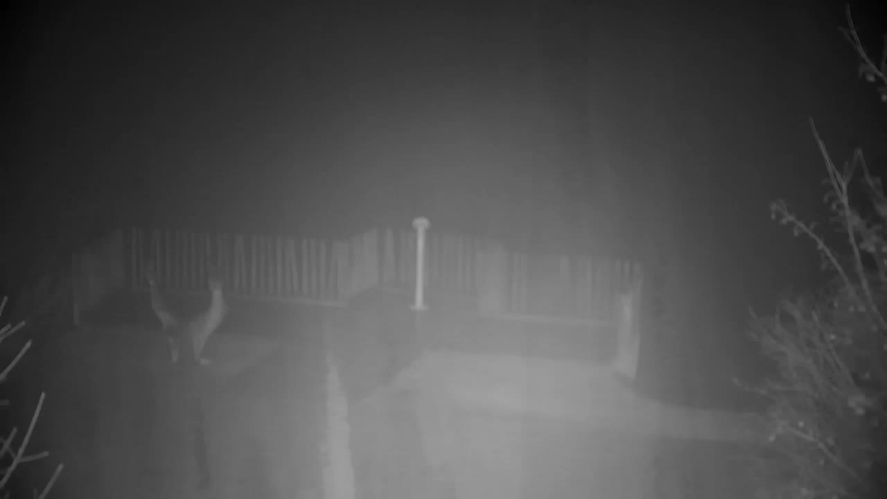 Spletna kamera Ribnik Vrbje – Žalec