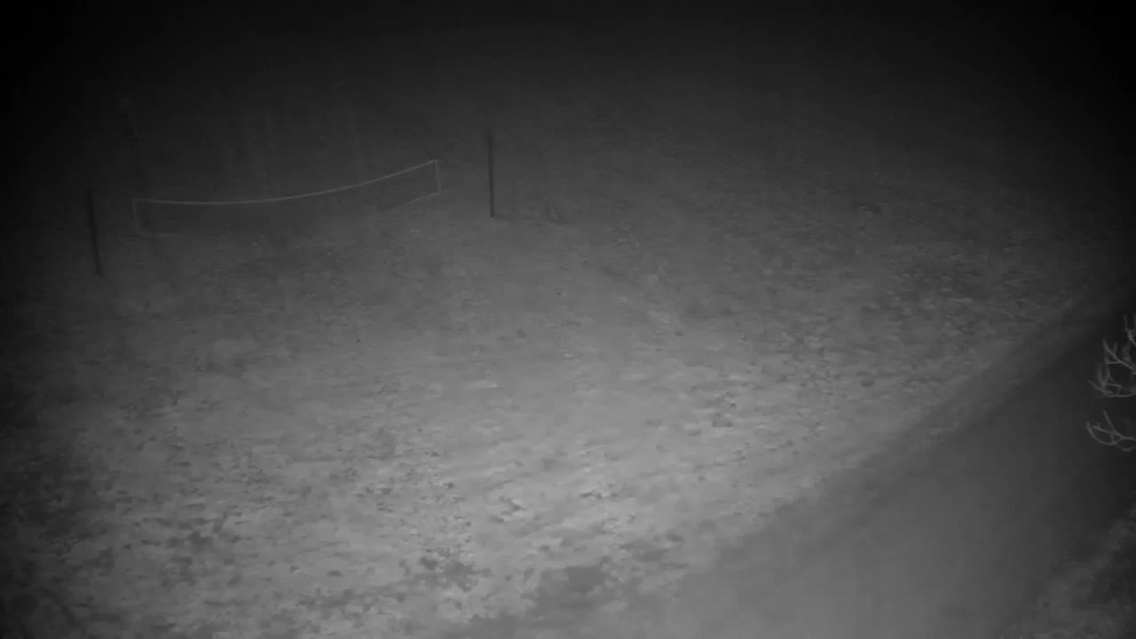 Webcam Ribnik Vrbje – Žalec