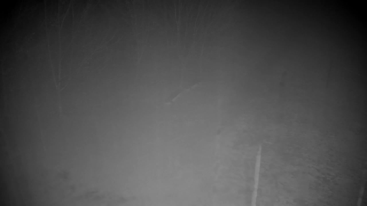 Spletna kamera Ribnik Vrbje – Žalec