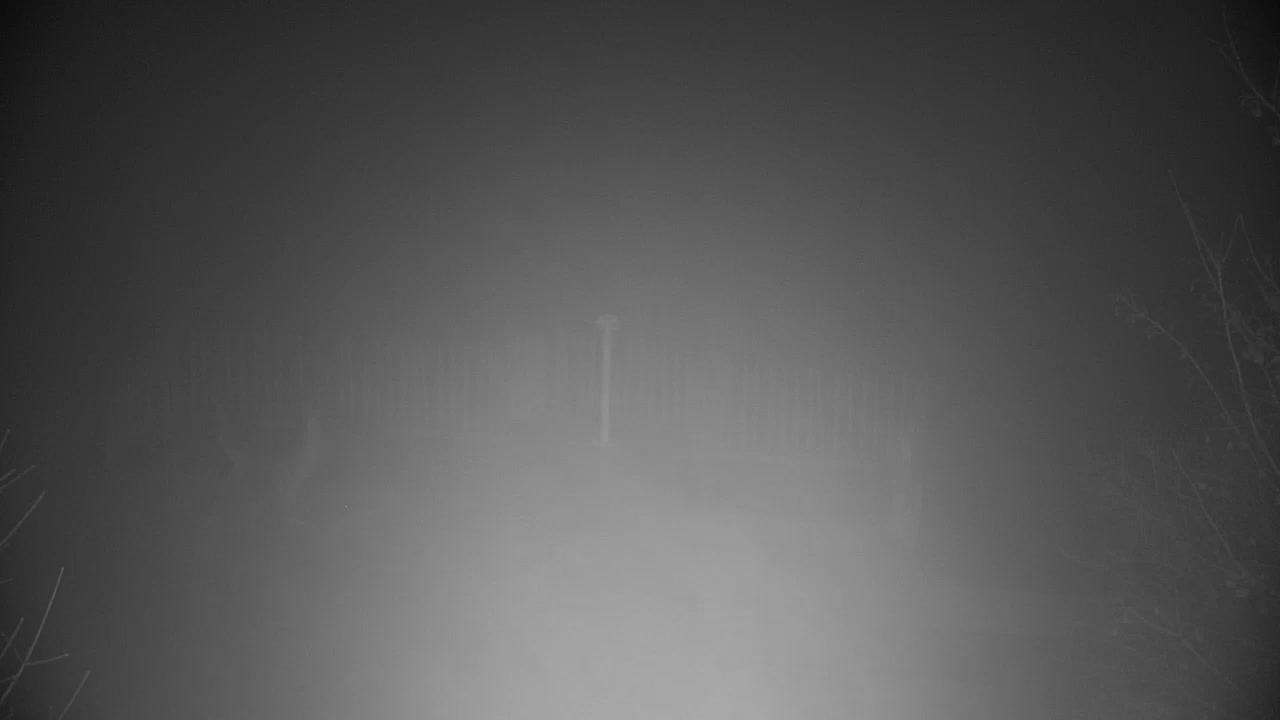 Webcam Ribnik Vrbje – Žalec