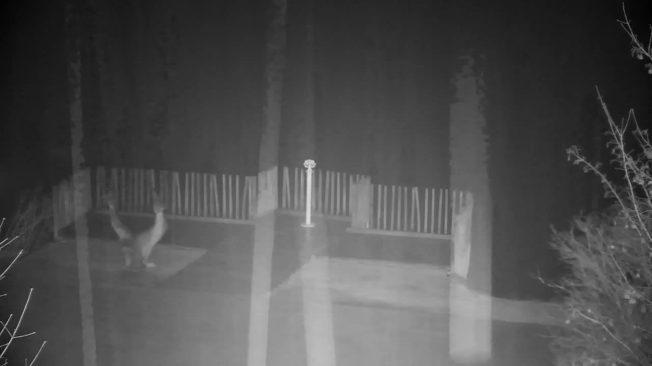 Webcam Ribnik Vrbje – Žalec