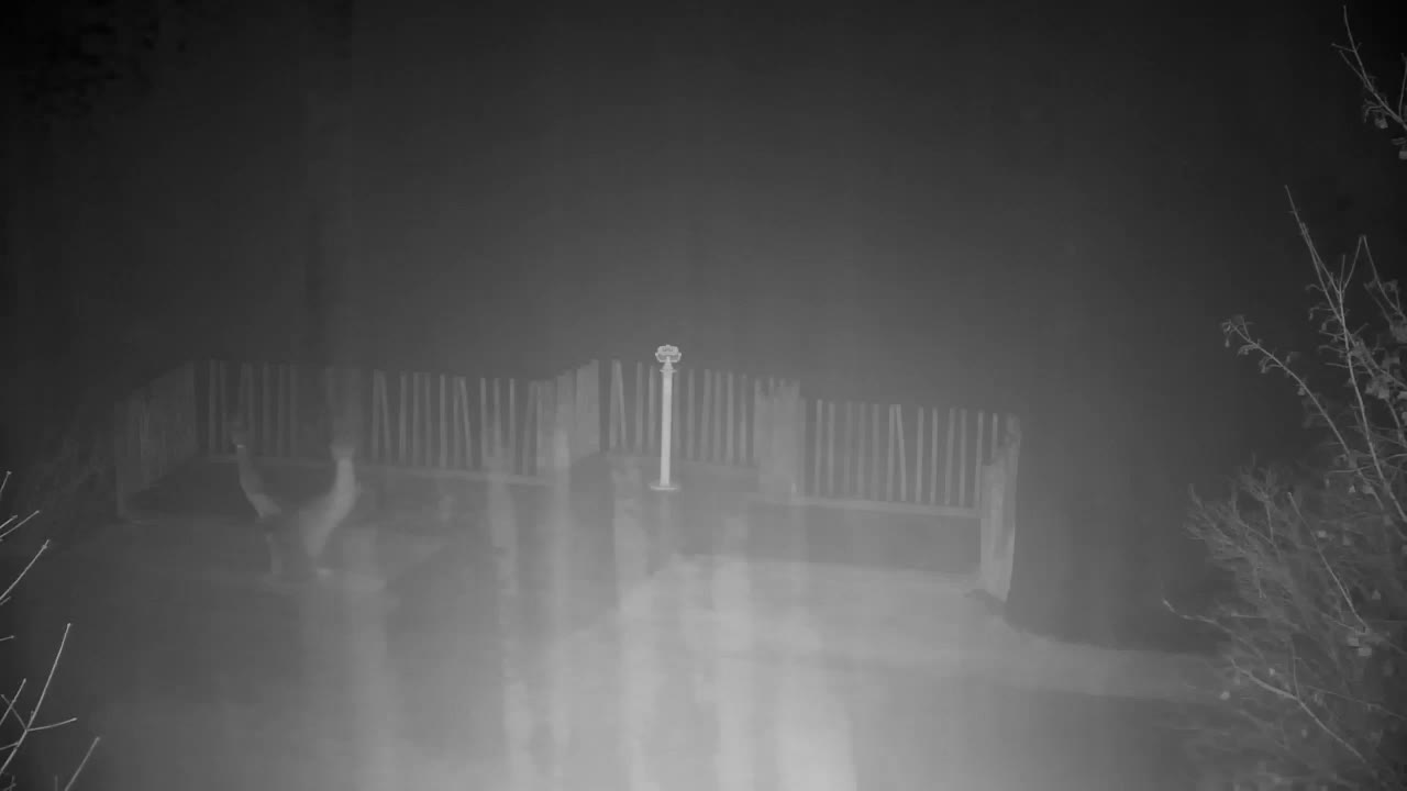 Webcam Ribnik Vrbje – Žalec