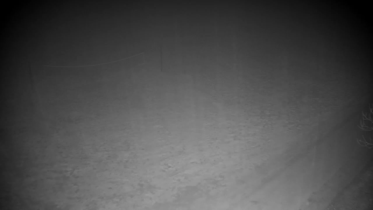 Webcam Ribnik Vrbje – Žalec