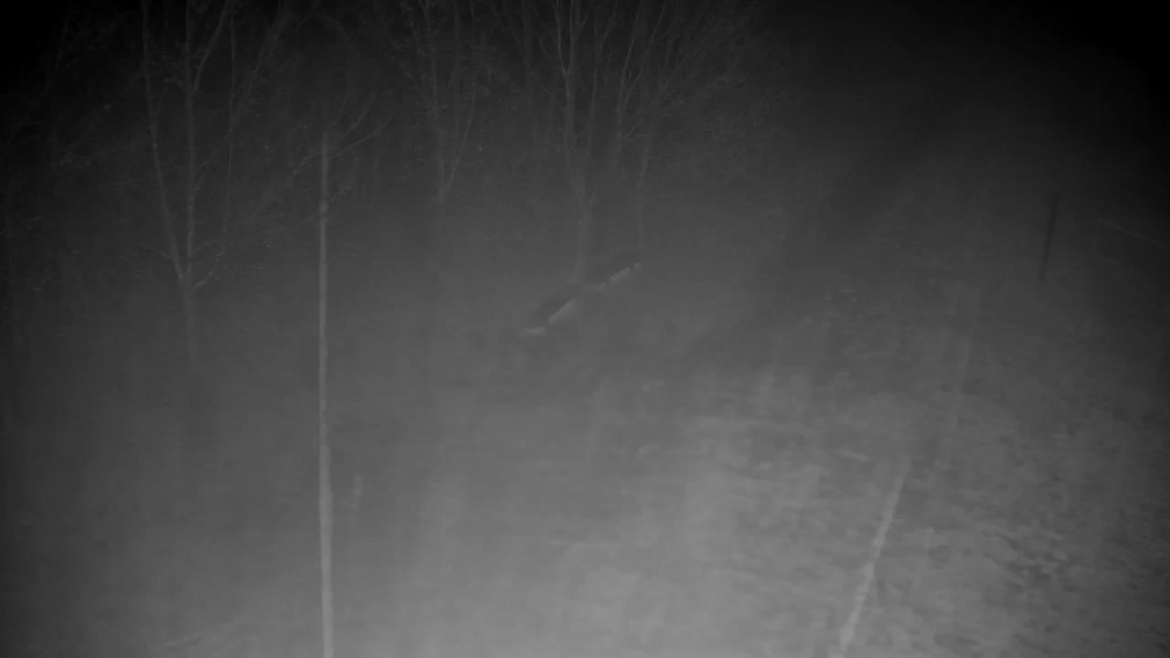 Webcam Ribnik Vrbje – Žalec