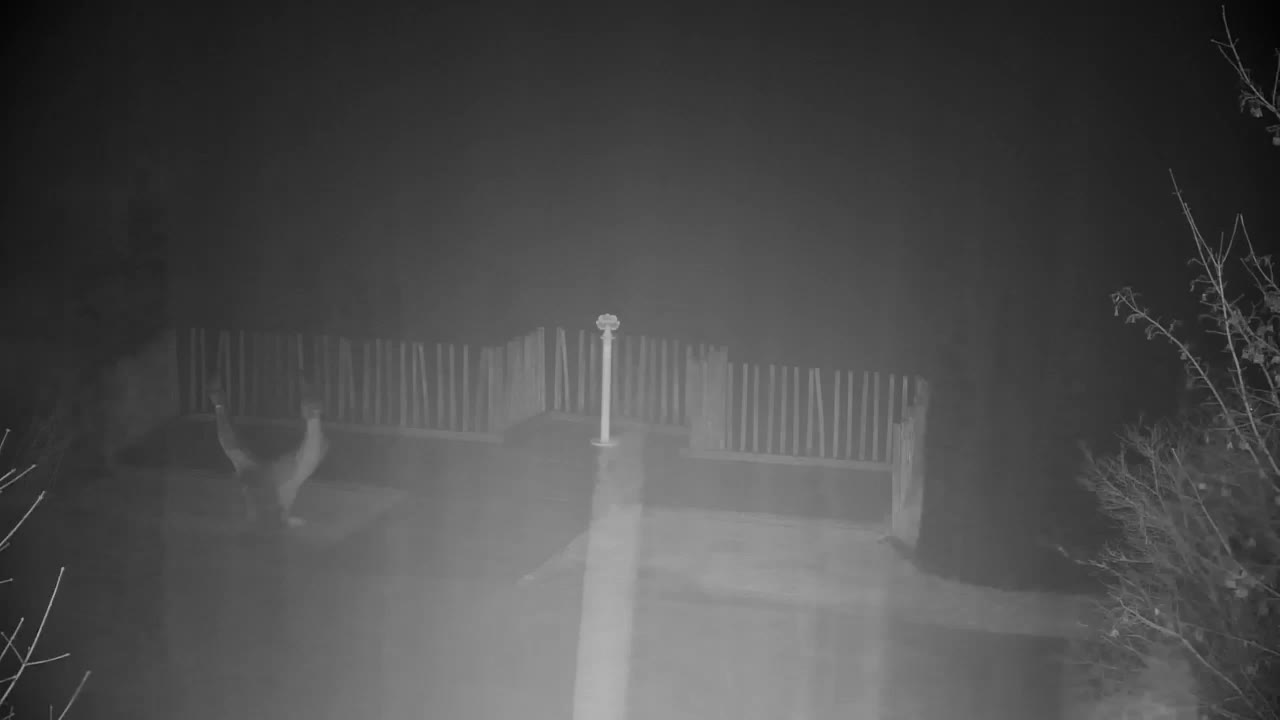 Webcam Ribnik Vrbje – Žalec