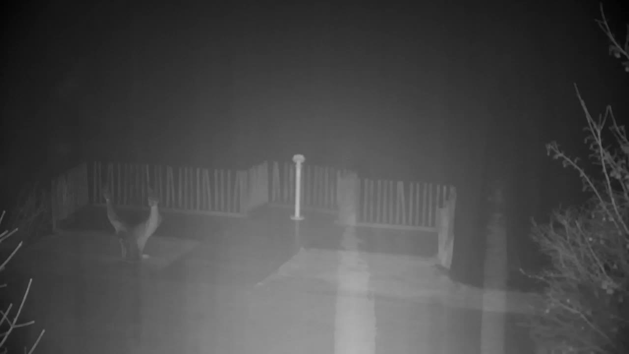 Webcam Ribnik Vrbje – Žalec