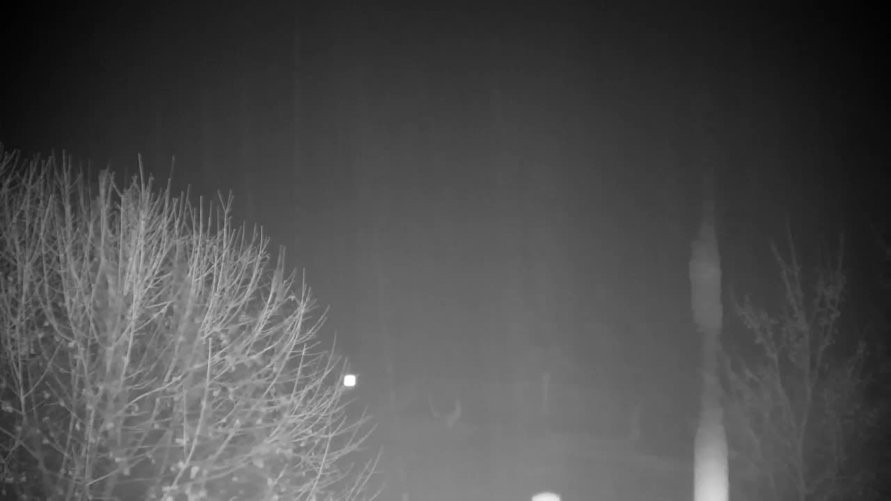 Webcam Ribnik Vrbje – Žalec