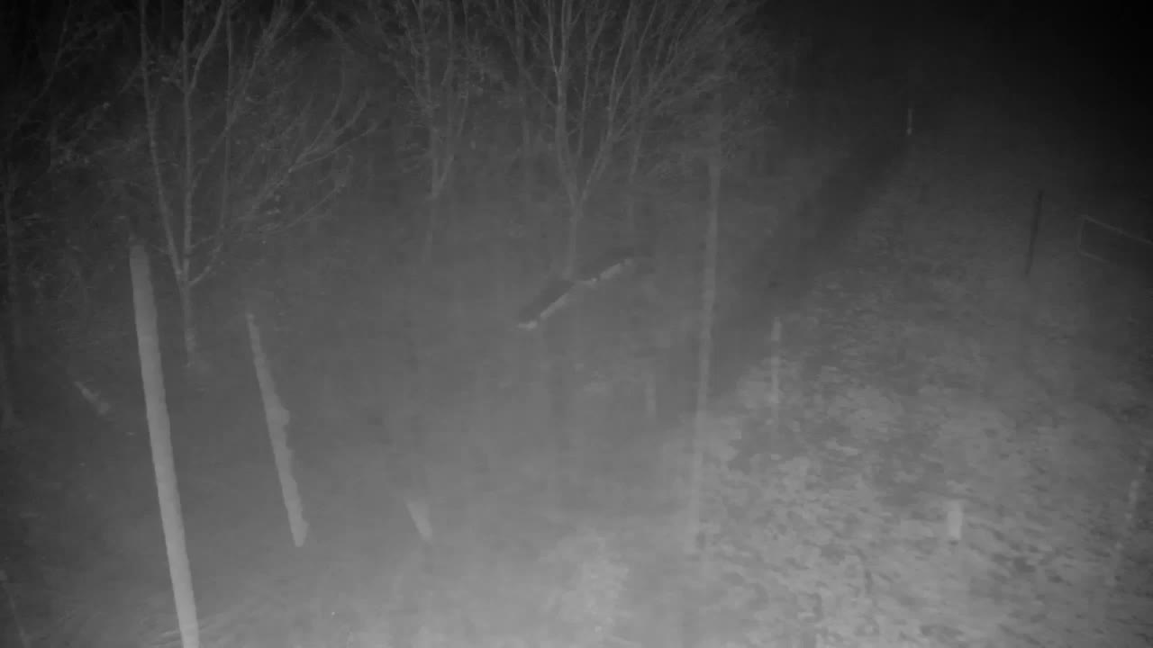 Webcam Ribnik Vrbje – Žalec