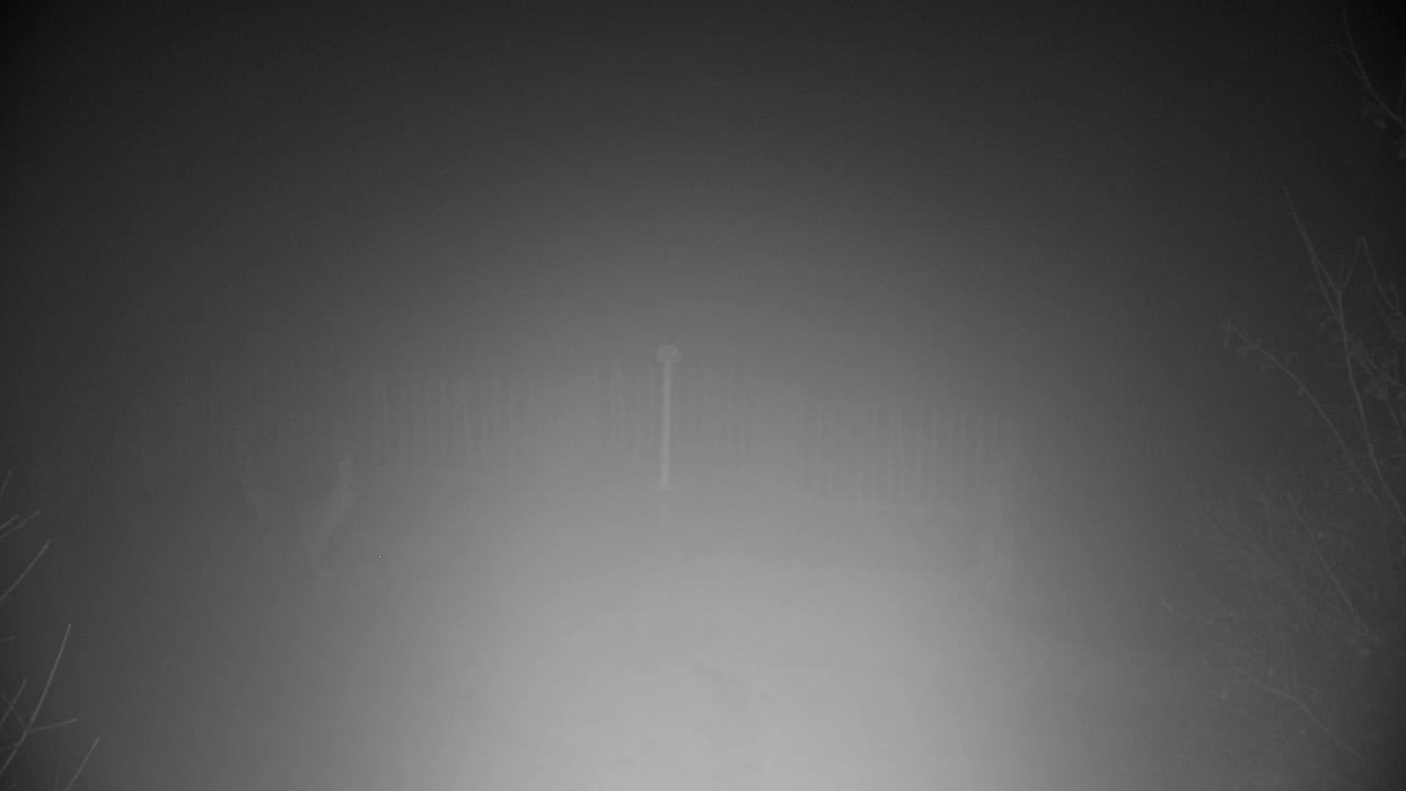 Webcam Ribnik Vrbje – Žalec