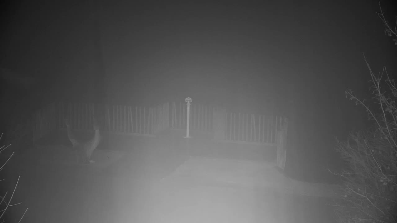 Webcam Ribnik Vrbje – Žalec