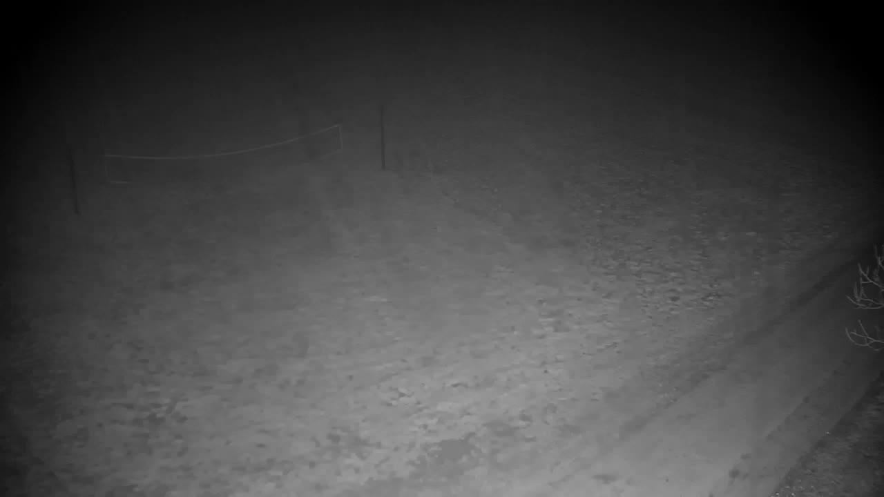 Webcam Ribnik Vrbje – Žalec