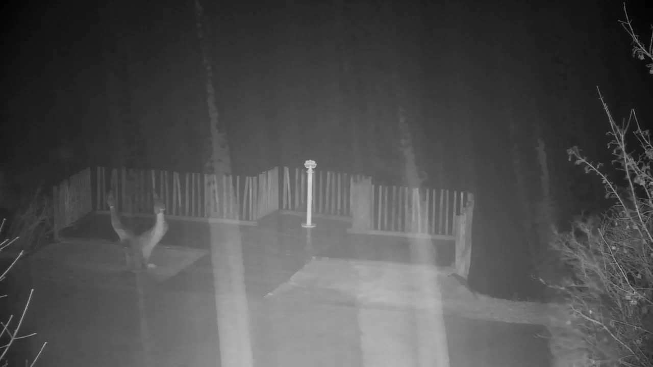 Webcam Ribnik Vrbje – Žalec