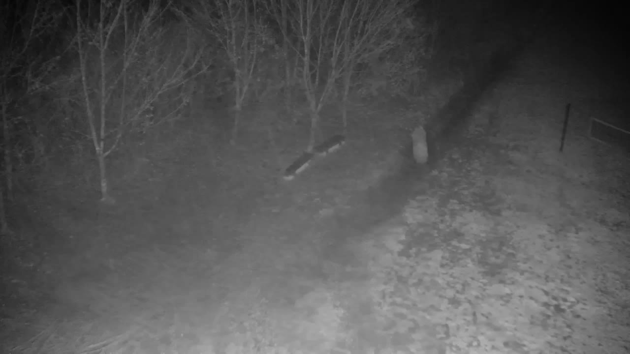 Webcam Ribnik Vrbje – Žalec