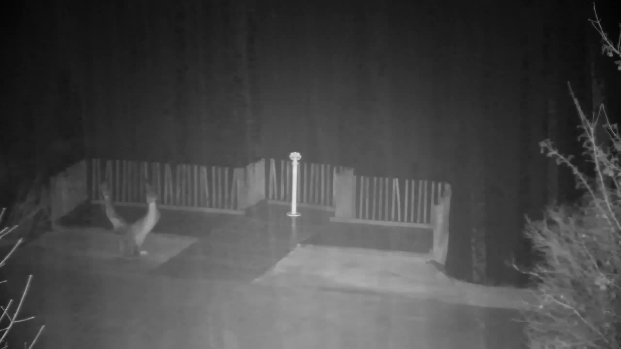 Webcam Ribnik Vrbje – Žalec