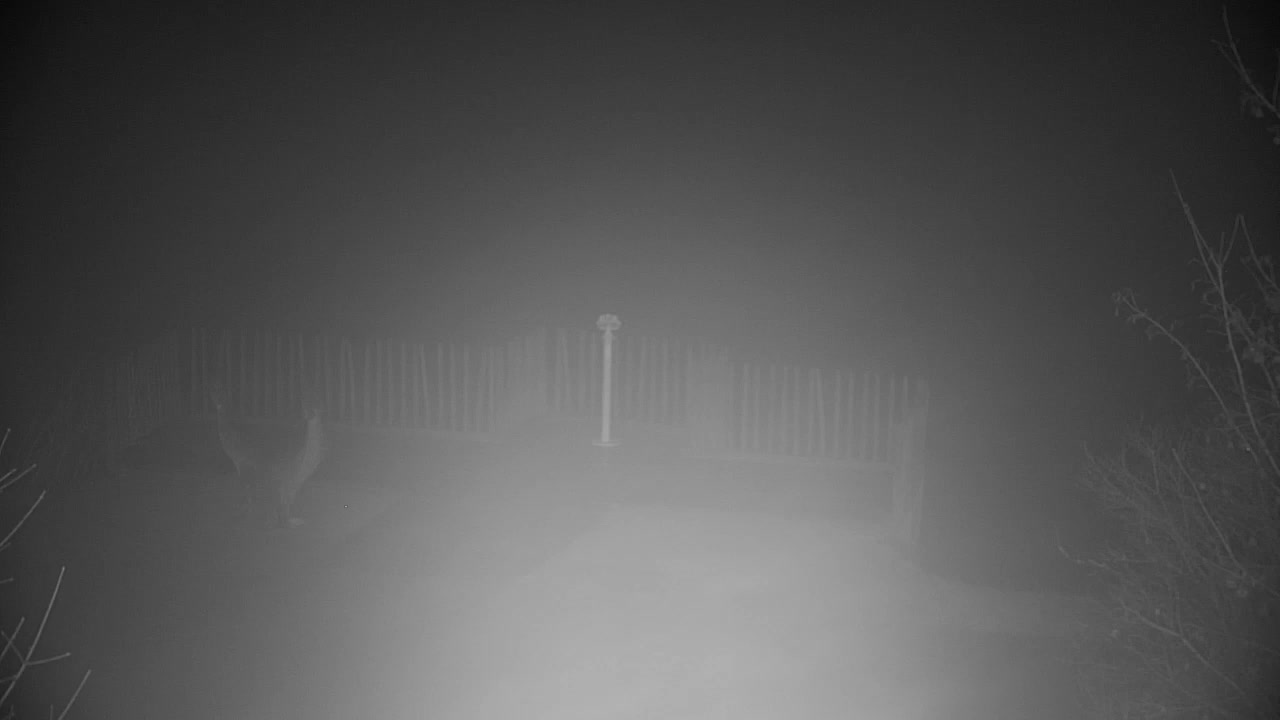 Webcam Ribnik Vrbje – Žalec