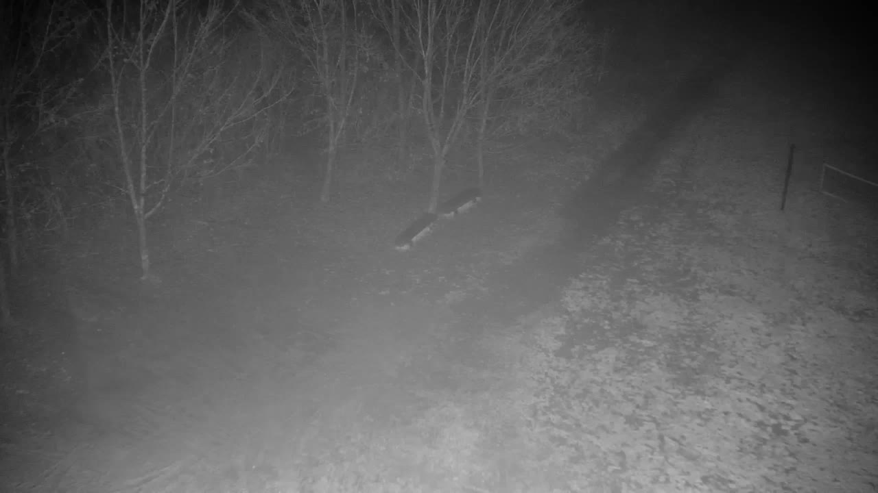 Webcam Ribnik Vrbje – Žalec