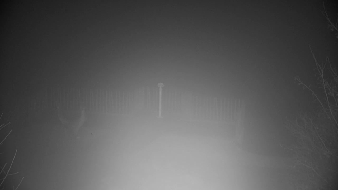 Webcam Ribnik Vrbje – Žalec