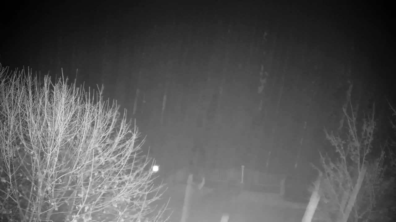 Web kamera Ribnik Vrbje – Žalec