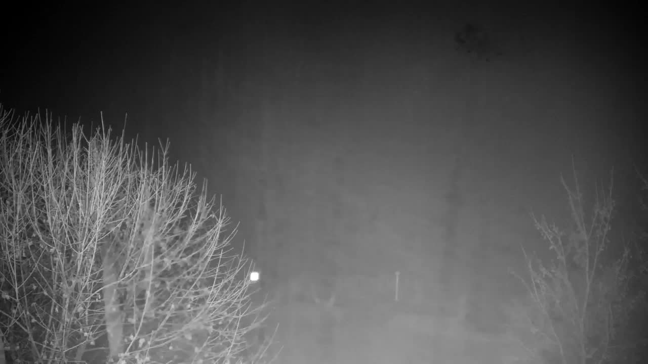 Spletna kamera Ribnik Vrbje – Žalec