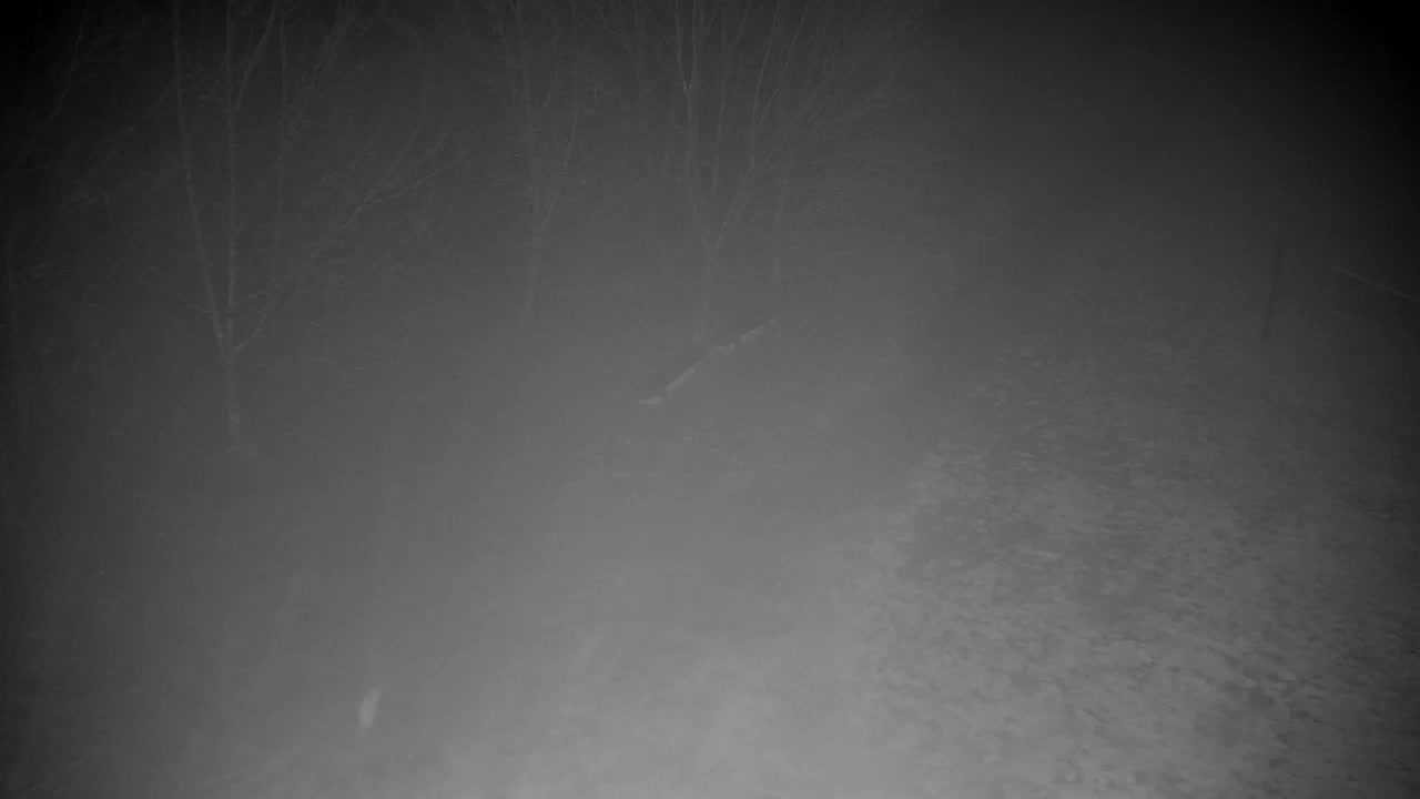 Webcam Ribnik Vrbje – Žalec