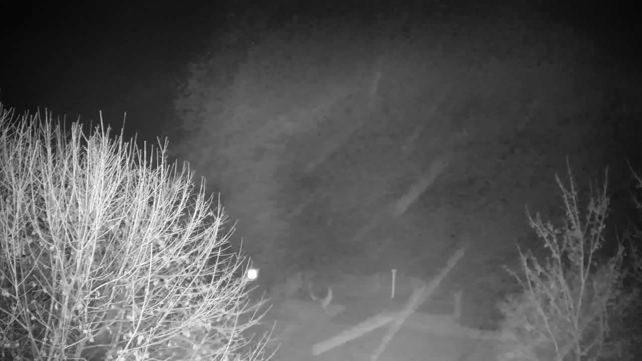 Webcam Ribnik Vrbje – Žalec