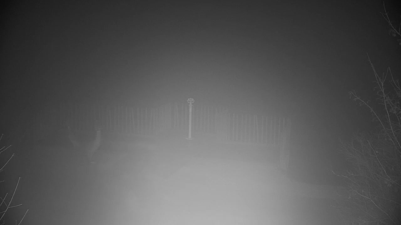 Webcam Ribnik Vrbje – Žalec