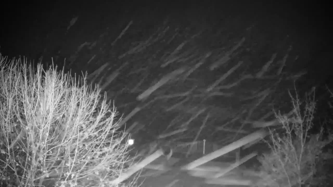 Webcam Ribnik Vrbje – Žalec